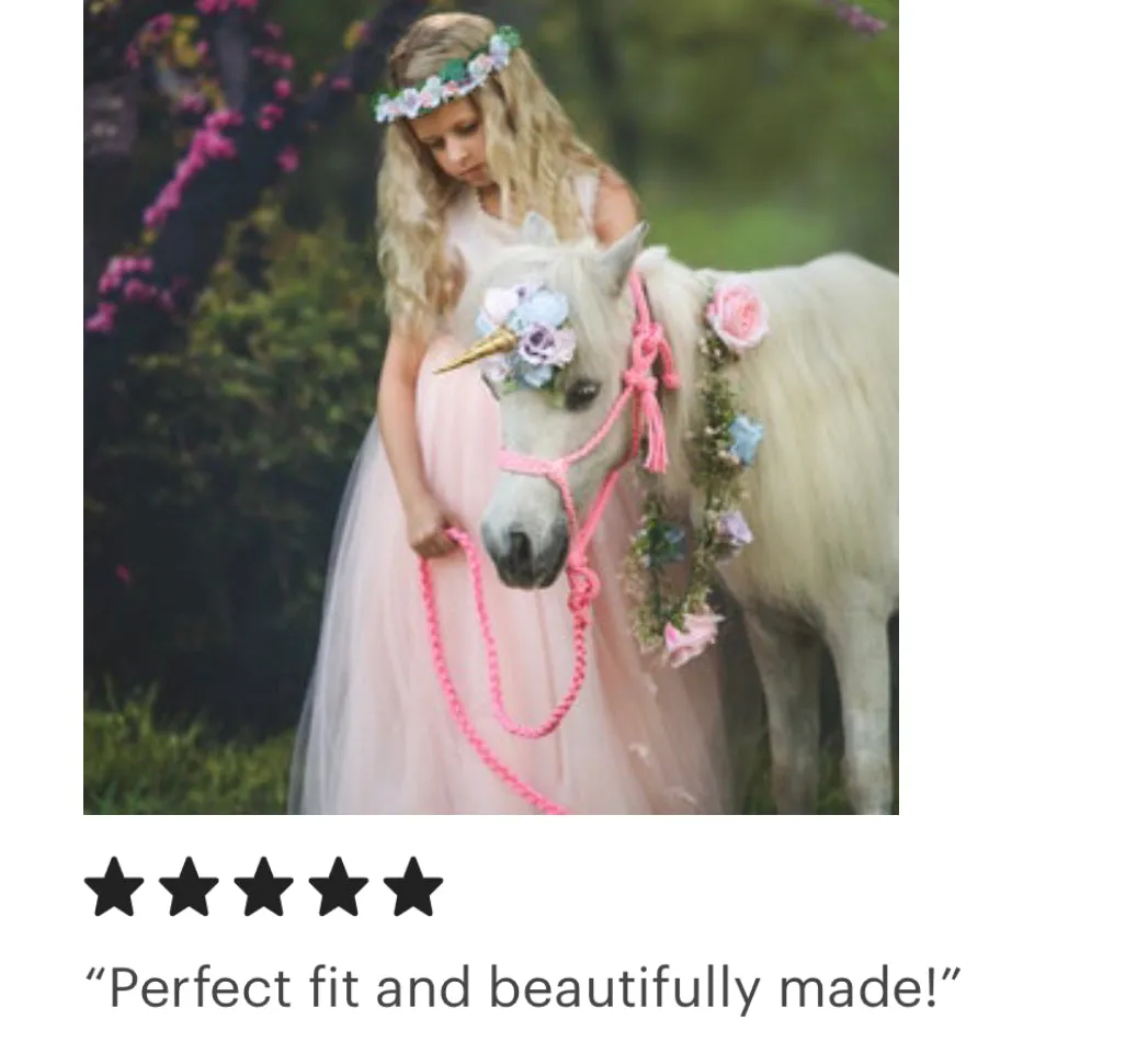 Braided horse halter with lead